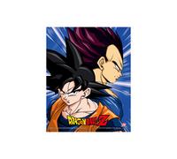 Dragon Ball Z Cadre 3d Lenticulaire Protectors And Destroyers