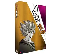 Dragon Ball Z-Coffret 4 DVD-08-Épisodes 160 à 175