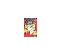 Akira Toriyama – Dragon Ball Z – Édition Vizbig – Vol. 4