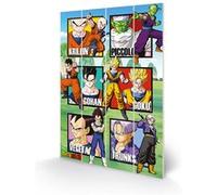 DRAGON BALL Z - Warrior Squares - Impression sur bois 40x59cm G