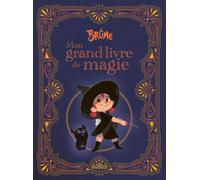 Dragon Brume : Mon Grand Livre De Magie