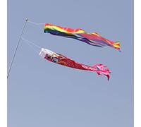 Dragon Chinois Drapeau Manche À Vent Ensemble Guide Coloré Vent Chaussette Forme De Dragon Les De Cerf-volant Drapeau Décoration Suspendue (sans Mât)(Red,100cm)