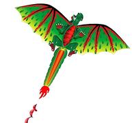 Dragon coloré 3D - Cerfs-volants à une ligne avec longues queues - Jeux de plein air pour débutants