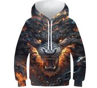 Dragon Enfants Sweatshirt Garçons Filles Sweats à Capuche Automne Top Casual Jumper Filles Vêtements Manches Longues Pull Drôle Cool, tigre, 6-7 ans