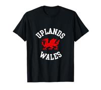 Dragon Gallois des Hautes Terres du Pays de Galles pour Enfants, Hommes et Femmes T-Shirt