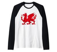 Dragon Gallois du Pays de Galles Cymru Celtic Pride St Patrick Manche Raglan
