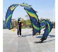 Dragon Poi Streamer, accessoire de danse fitness pour adultes et jeunes, accessoire de danse lavable, parfait pour la performance et la pratique