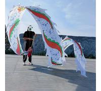 Dragon Poi Streamer, accessoire de danse fitness pour adultes et jeunes, accessoire de danse lavable, parfait pour la performance et la pratique