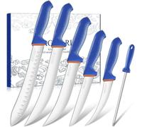DRAGON RIOT Couteau Boucher Professionnel Set de 6 Pièces à Lames Flexibles | Set de Couteau a Viande Ultra Tranchants avec Désosseur, Boîte Cadeau, Poignée Ergonomique pour Coupe Précise, BBQ Maison
