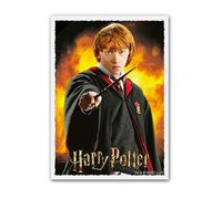 Dragon Shield Qualité Taille Standard Carte Matte Art Sleeves Boîte De 100 Pièce