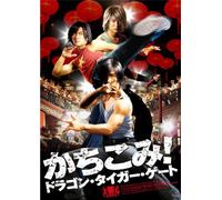 Dragon Tiger Gate:Standard Edi [Import allemand]