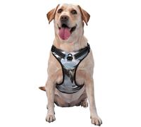 Dragon Wings Harnais pour chien de petite, moyenne et grande taille - Durable, anti-traction avec sangles réfléchissantes et boucles à dégagement rapide Taille L