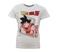 Dragonball T-Shirt Manches Courtes, Garçon (Gris,4 Ans)