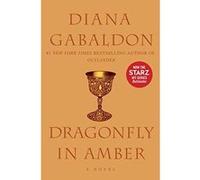 Dragonfly in Amber: A Novel