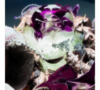 Dragongirl - Hot Blue