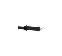 - Dragonne (pack de 3) - pour Dolphin CT40