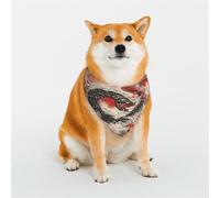 Dragon'S Anger Dog Bandanas pour chiens de petite, moyenne et grande taille, doux et confortable pour garçons et filles, idéal pour les animaux de compagnie