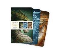 Dragons by Kerem Beyit Set of 3 Mini Notebooks