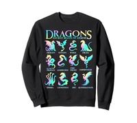 Dragons du Monde Types de Dragons Sweatshirt