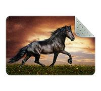 DragonSwordlinsu Tapis antidérapant pour salon et chambre à coucher Motif cheval arabe 60 x 40 cm