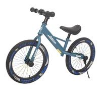Draisienne 40,6 cm pour grands enfants à partir de 4 à 8 ans - Vélo d'entraînement sans pédales avec rayons colorés et support, poignée de transport, ultra léger, cadeau d'anniversaire pour garçons et