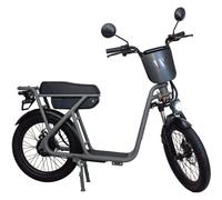 Draisienne électrique WISPEED WIMOB Plus Gris - Homologué