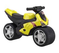 Draisienne pour enfant - AIYAPLAY - musique et roues extra-larges - métal et plastique - 60x32x41cm - vert