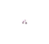 Draisienne Velo DISNEY PRINCESSES Running Bike