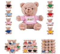 DRAJOIN 6 à 18 Pièces Peluches Ours Personnalisées en Lot avec Photo Texte, Small Teddy Bears Bulk Petits Ours en Peluche Personnalisés pour Cadeaux de Saint Valentin et de Noël pour Classe, 11cm