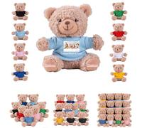 DRAJOIN 6 à 18 Pièces Peluches Ours Personnalisées en Lot avec Photo Texte, Small Teddy Bears Bulk Petits Ours en Peluche Personnalisés pour Cadeaux de Saint Valentin et de Noël pour Classe, 11cm