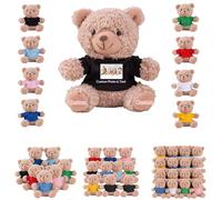 DRAJOIN 6 à 18 Pièces Peluches Ours Personnalisées en Lot avec Photo Texte, Small Teddy Bears Bulk Petits Ours en Peluche Personnalisés pour Cadeaux de Saint Valentin et de Noël pour Classe, 11cm