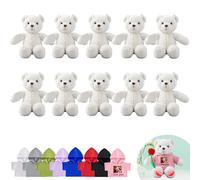 DRAJOIN Lot de 10 Ours en Peluche Personnalisés de 25cm avec Photo et Texte, pour la Saint-Valentin, Un Anniversaire, Une Fête Prénatale ou Un Mariage