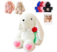 DRAJOIN Peluche Lapin Personnalisé, Peluche Lapin Personnalisé avec Photo Texte comme Personalized Long Ear Rabbit for Baby Gift, Cadeau d'anniversaire pour Enfants Adultes, 32 cm