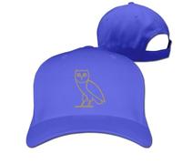 Drake Thank Me Later Baseball Caps Plain Baseball Cap Royalblue