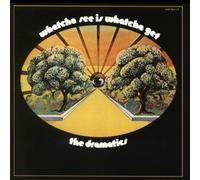 Dramatics, The - Watcha See Is Whatcha Get