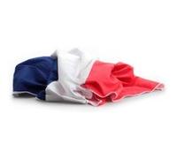 Drap de bain microfibre drapeau France - 180 x 90 cm G