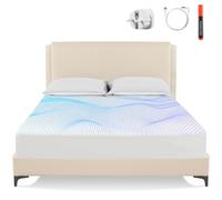 Drap de Mise à la Terre OneAmg, 95% Coton Biologique & 5% Fibre d'argent Pur, Drap de Mise à La Terre éLastique EntièRement Enveloppé, AméLiore Le Sommeil(Blanc, 152 * 203+38CM)