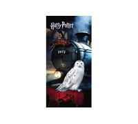 Drap de Plage en coton Harry Potter - 70 x 140 cm - Imprimé Hedwige