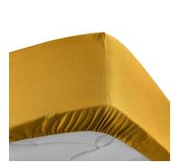 douceur d'intérieur, Drap Housse (140 x 190 cm) Percaline Curry, Percale de Coton