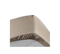 douceur d'intérieur, Drap Housse (140 x 190 cm) Percaline Sable, Percale de Coton
