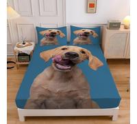 Drap Housse 140x200 Golden Retriever Housse Matelas Mignon, Drap Housse Doux et Durable Lavable Drap-Housse pour Matelas de 30 cm et 2 Taies D'Oreillers sd3315