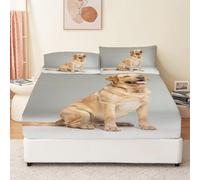 Drap Housse 160x200 / 160x190 Golden Retriever 160 x 200 Adulte Chien Mignon 3D Drap-Housse Grand Bonnet 30 cm Matelas Épais Microfibre, avec Élastique Tout Autour a.6298