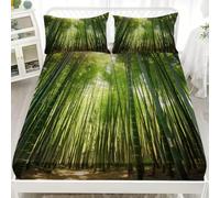 Drap Housse 160x200x30cm en Microfibre Douce, Nature ForêT de Bambous ForêT Draps-Housses Poche Profonde 30cm, Paysage Parure de Lit 2 Personne Respirant pour Adolescents et Adultes
