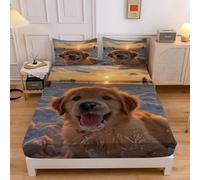 Drap Housse 180x200 Golden Retriever Housse de Matelas Mignon, Drap-Housse avec Grand Bonnet de 30 cm Draps Housse Microfibre et 2 Taies D'Oreillers, pour Matelas éPais sd3786
