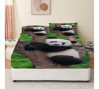 Drap Housse 200x200 Panda Drap-Housse TréSor National Housse de Matelas Microfibre Doux, Drap Poche Profonde 30 cm avec 2 Taies d'oreiller, Protection de Matelas Respirant Antidérapants