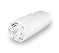 Soleil d'ocre, Percale Drap Housse, Coton, Blanc, 90x190 cm