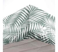 Douceur d'Intérieur Drap housse Botania 100% coton imprimé fougères Vert sauge 140 x 190 cm