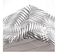 douceur d'intérieur, Drap Housse (160 x 200 cm) Botania Gris, 100% Coton