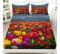 Drap Housse en Microfibre 140x190x30 cm ThèMe Tulipe ColoréE Dessus de lit Résistant aux Rides Drap-Housse Hypoallergénique Multicolore Ensembles 1 Personnes Lit