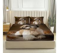 Drap-Housse en Microfibre, Motif Mignon Shih Tzu Feuilles D'Érable, Housse de Matelas Respirant Antidérapants Résistant aux Rides 140x190 cm Bonnet 30 cm, Brun